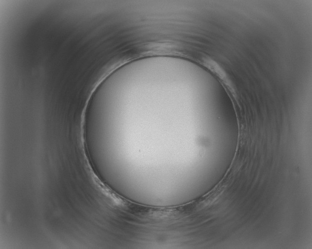 X0000073951386200609051741