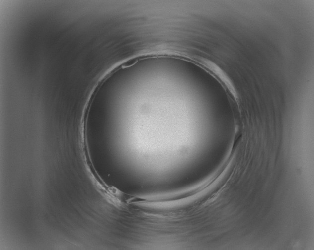 X0000073951388200609051741