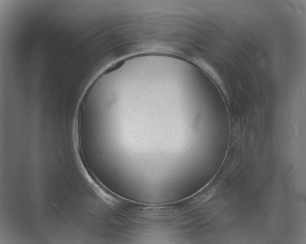 X0000073951391200609051741