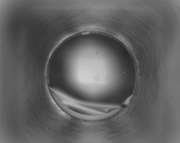 X0000073951392200609051741