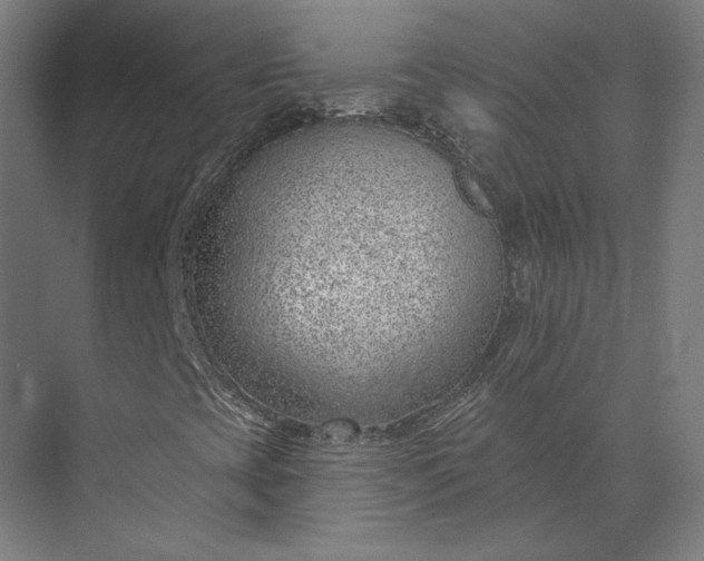 X0000073951393200609051740