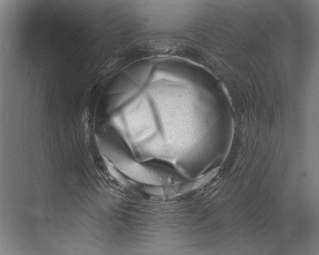 X0000073951394200609051740