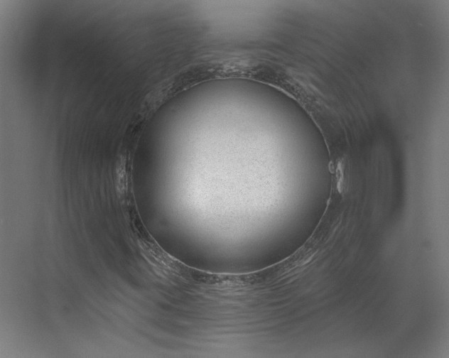 X0000073951395200609051740