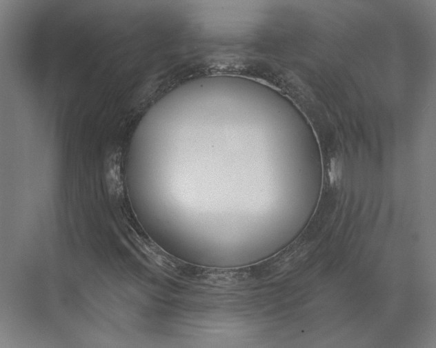 X0000073951396200609051740