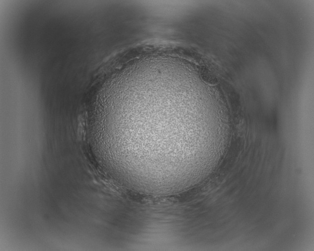 X0000073951397200609051741