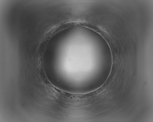 X0000073951398200609051741