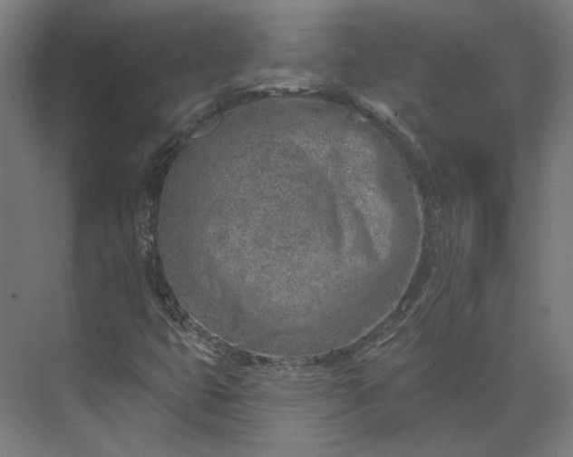 X0000073951399200609051741