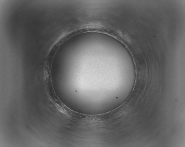 X0000073951400200609051741