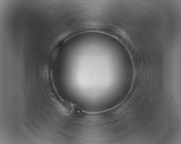 X0000073951402200609051741