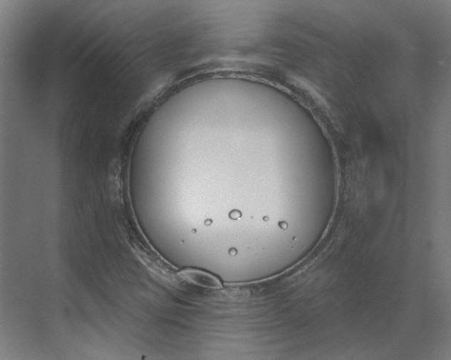 X0000073951403200609051741