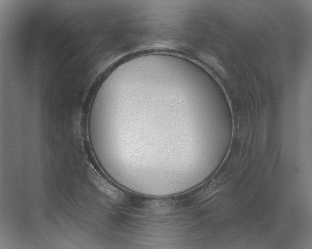 X0000073951404200609051741