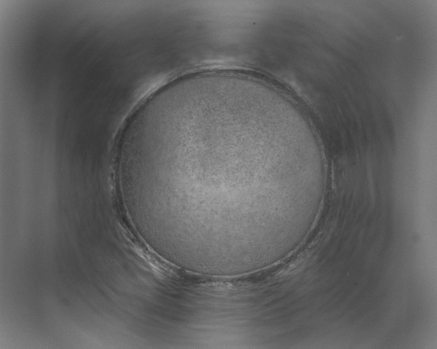 X0000073951405200609051741