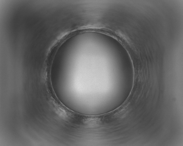 X0000073951406200609051741