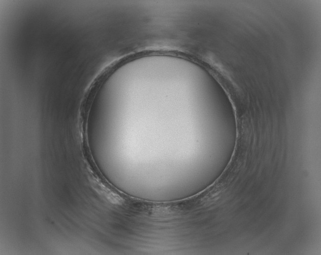 X0000073951408200609051741