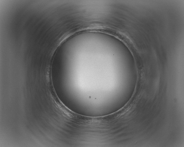 X0000073951409200609051741