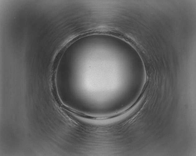 X0000073951410200609051741