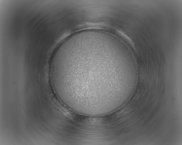 X0000073951411200609051741