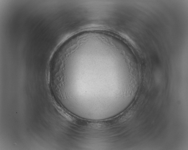 X0000073951413200609051741