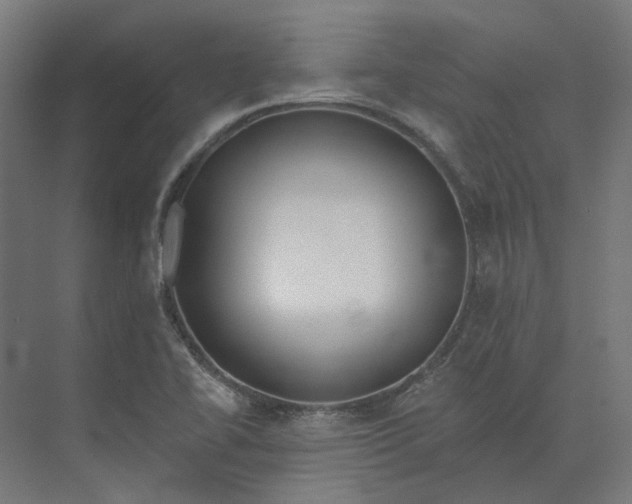 X0000073951414200609051741