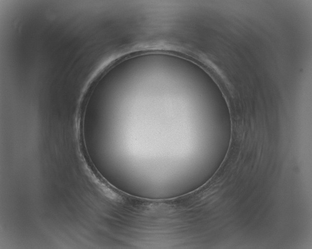 X0000073951416200609051741