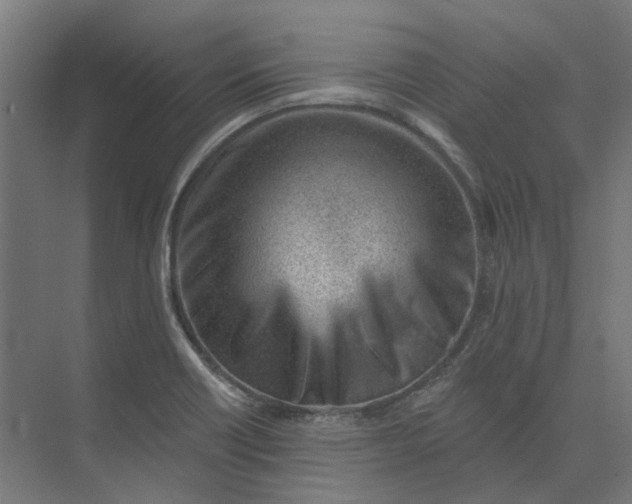 X0000073951418200609051741