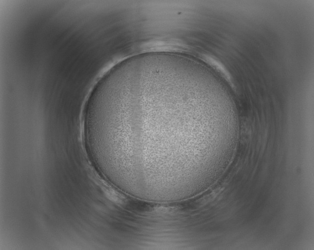 X0000073951419200609051741