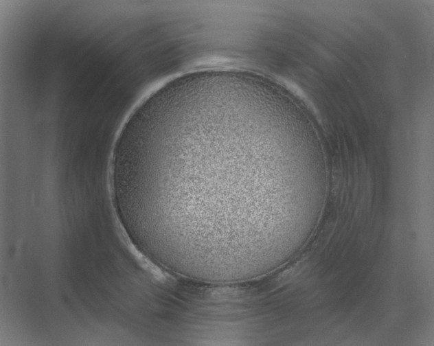 X0000073951421200609051741