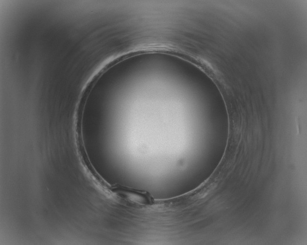 X0000073951422200609051741