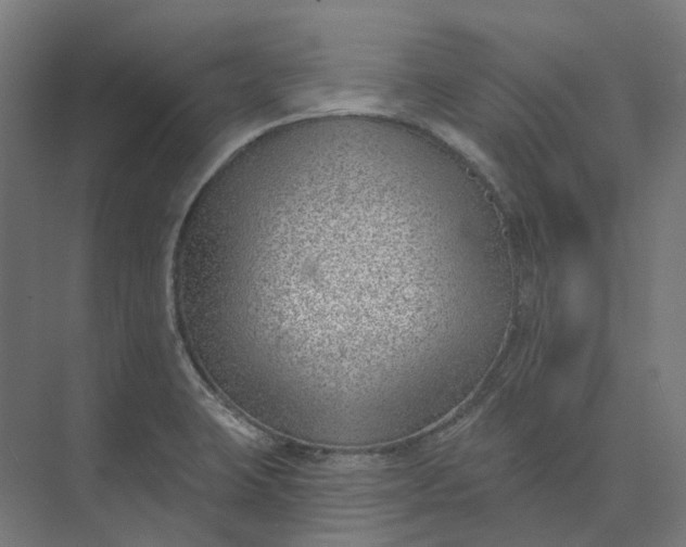 X0000073951423200609051741