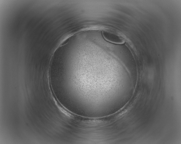 X0000073951425200609051741