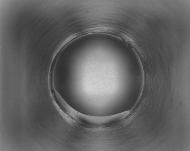 X0000073951426200609051741