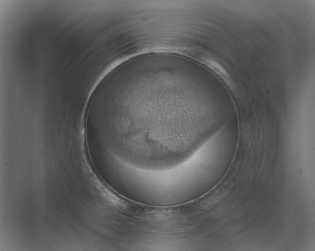 X0000073951428200609051741