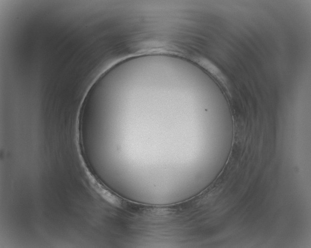 X0000073951431200609051741