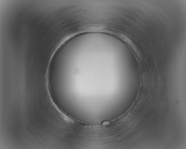 X0000073951432200609051741