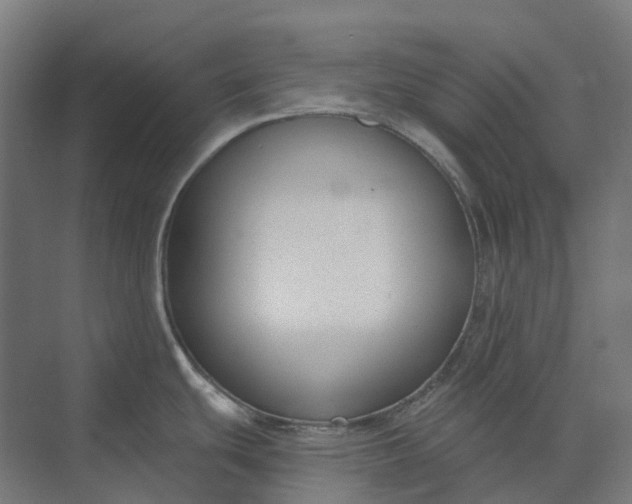 X0000073951439200609051741