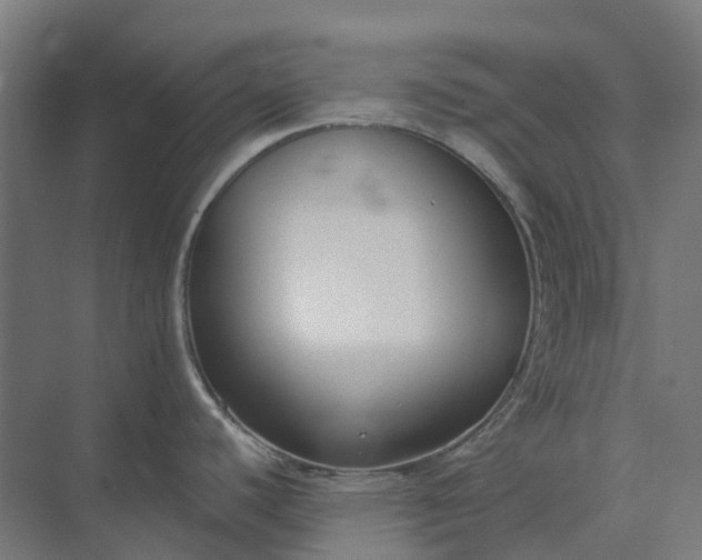 X0000073951440200609051741