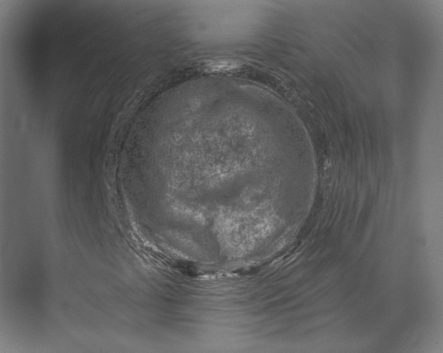 X0000073951441200609051740