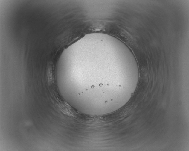 X0000073951442200609051740