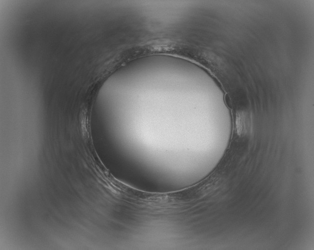 X0000073951444200609051740