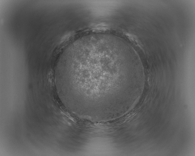 X0000073951445200609051740