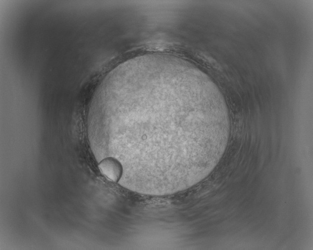 X0000073951446200609051740