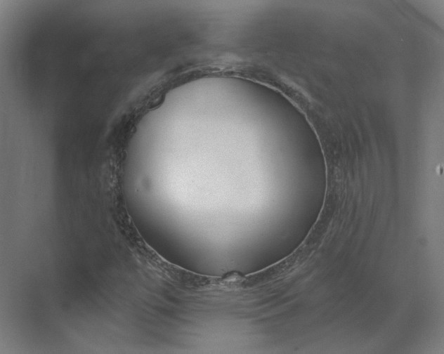 X0000073951447200609051740