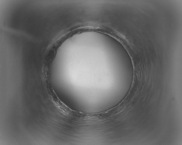 X0000073951448200609051740