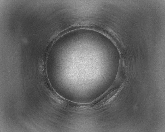 X0000073951449200609051740