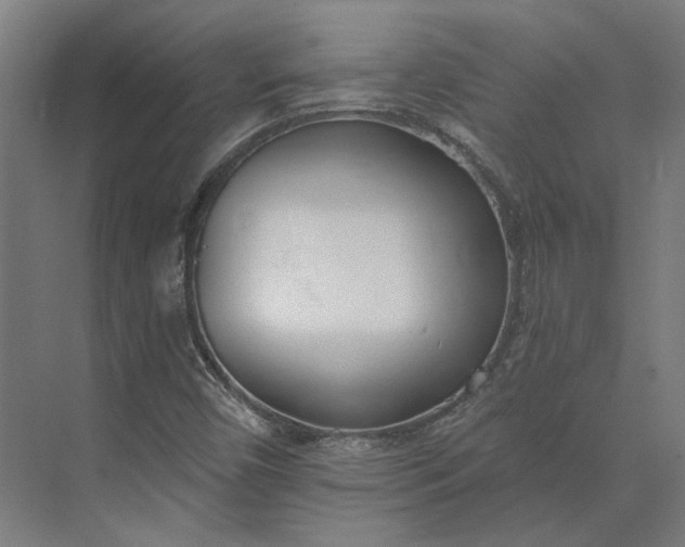 X0000073951450200609051740