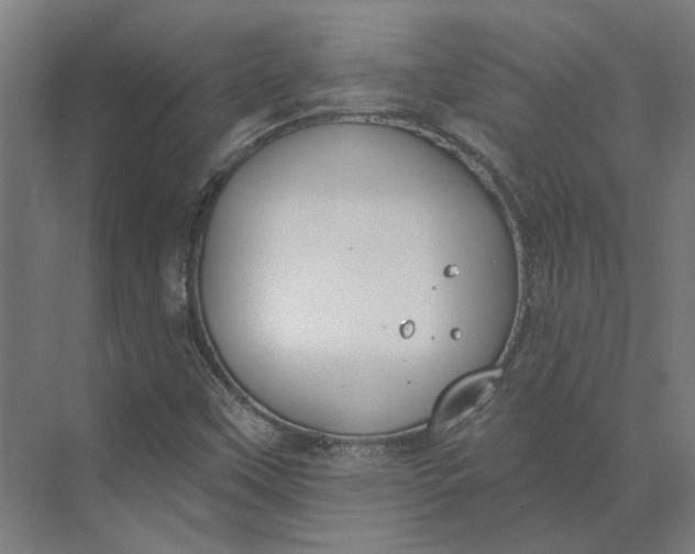 X0000073951451200609051740