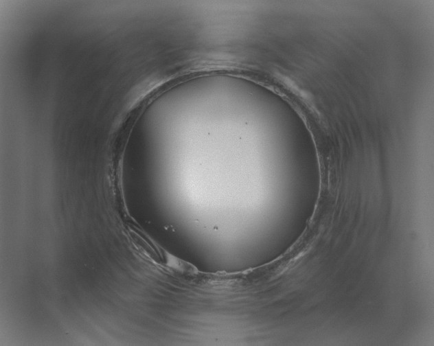 X0000073951453200609051740