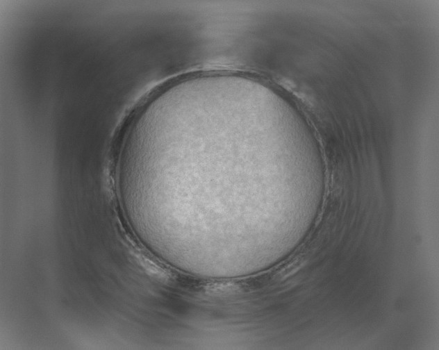 X0000073951454200609051740