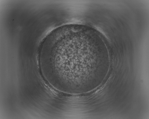 X0000073951455200609051740