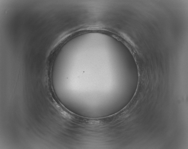 X0000073951456200609051740